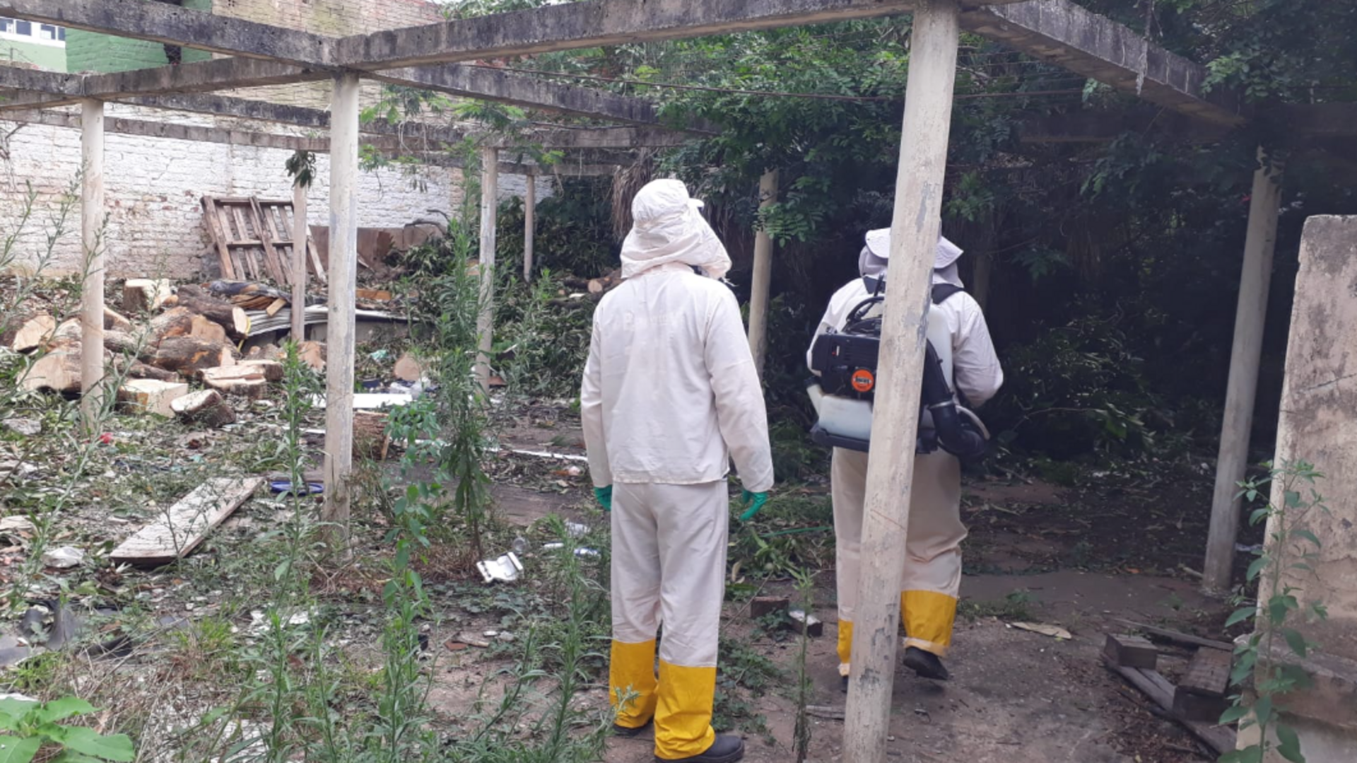 O município está com alto risco para incidência de Dengue.