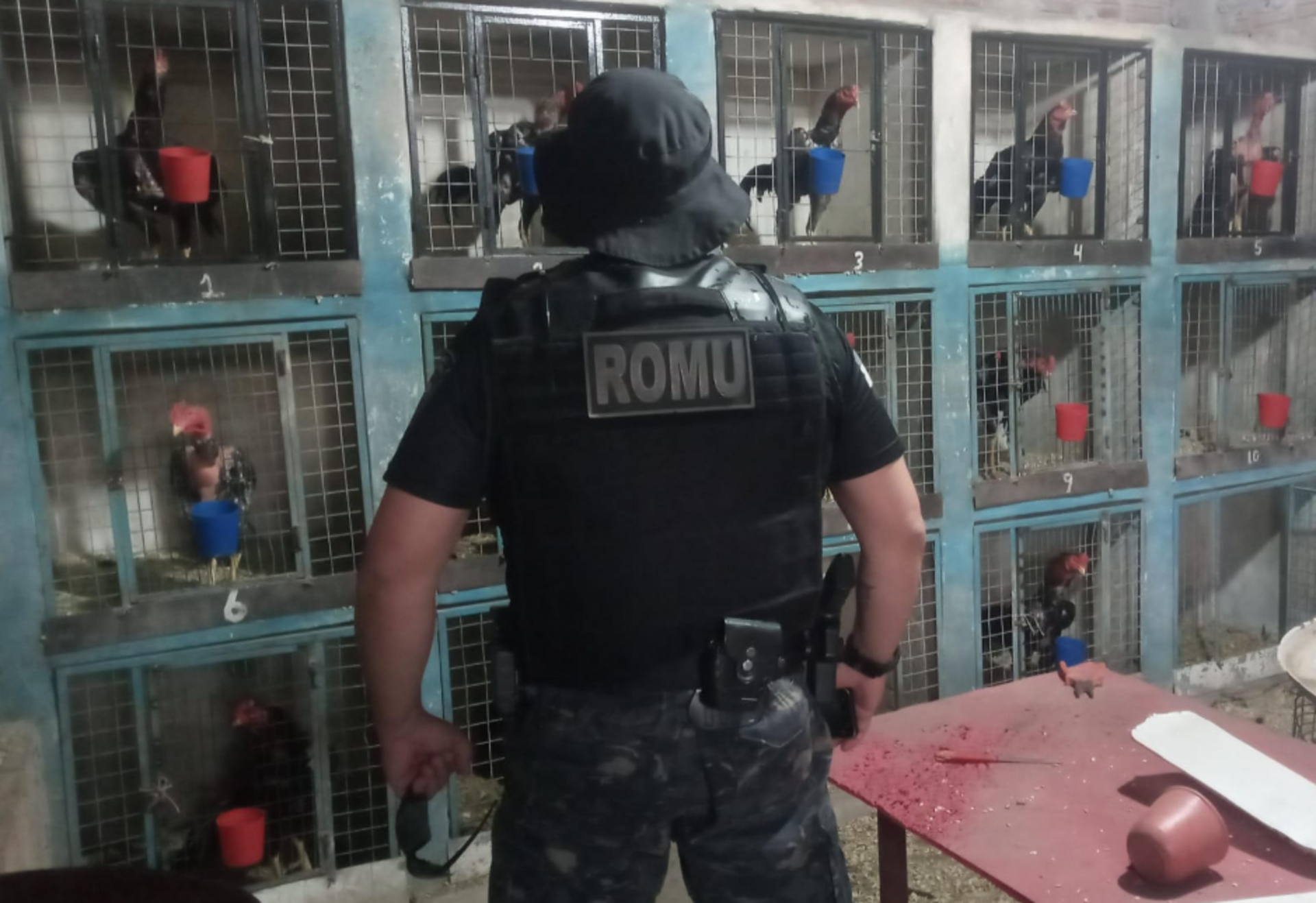 A ação foi desencadeada pelos agentes na União das Vilas.