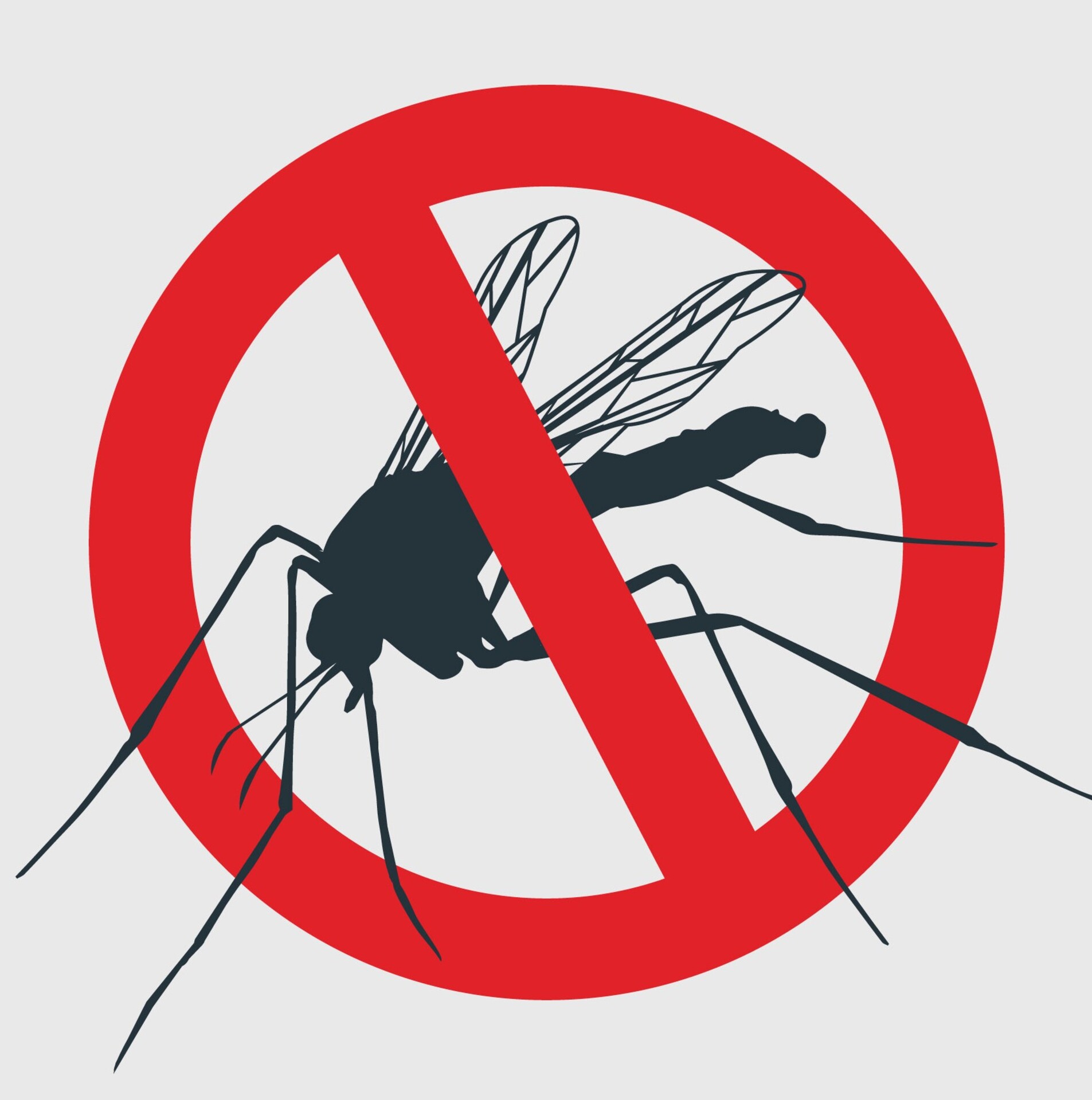 Faça sua parte. Combata o mosquito da dengue.
