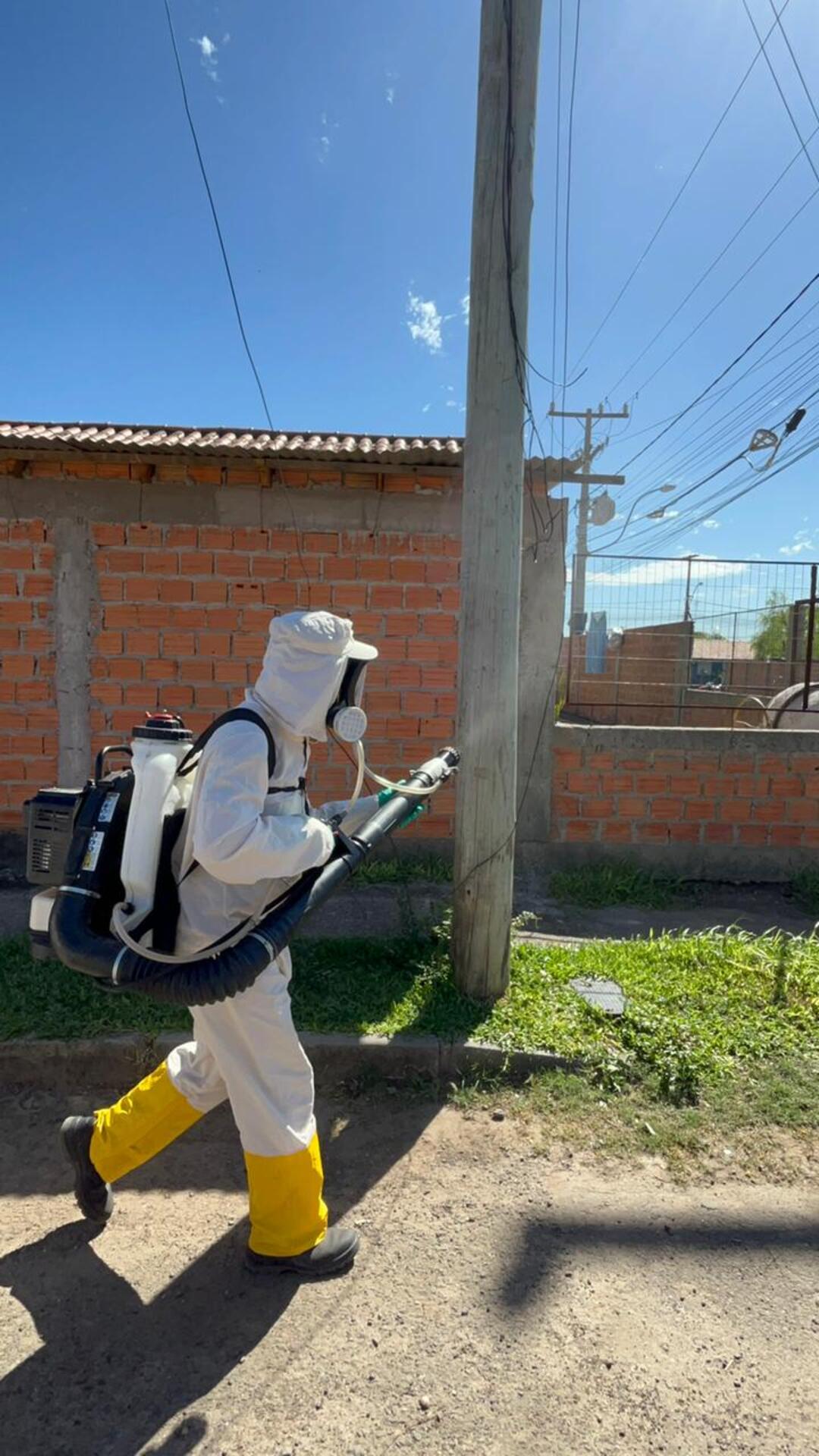 O processo vem sendo realizado desde fevereiro na zona urbana