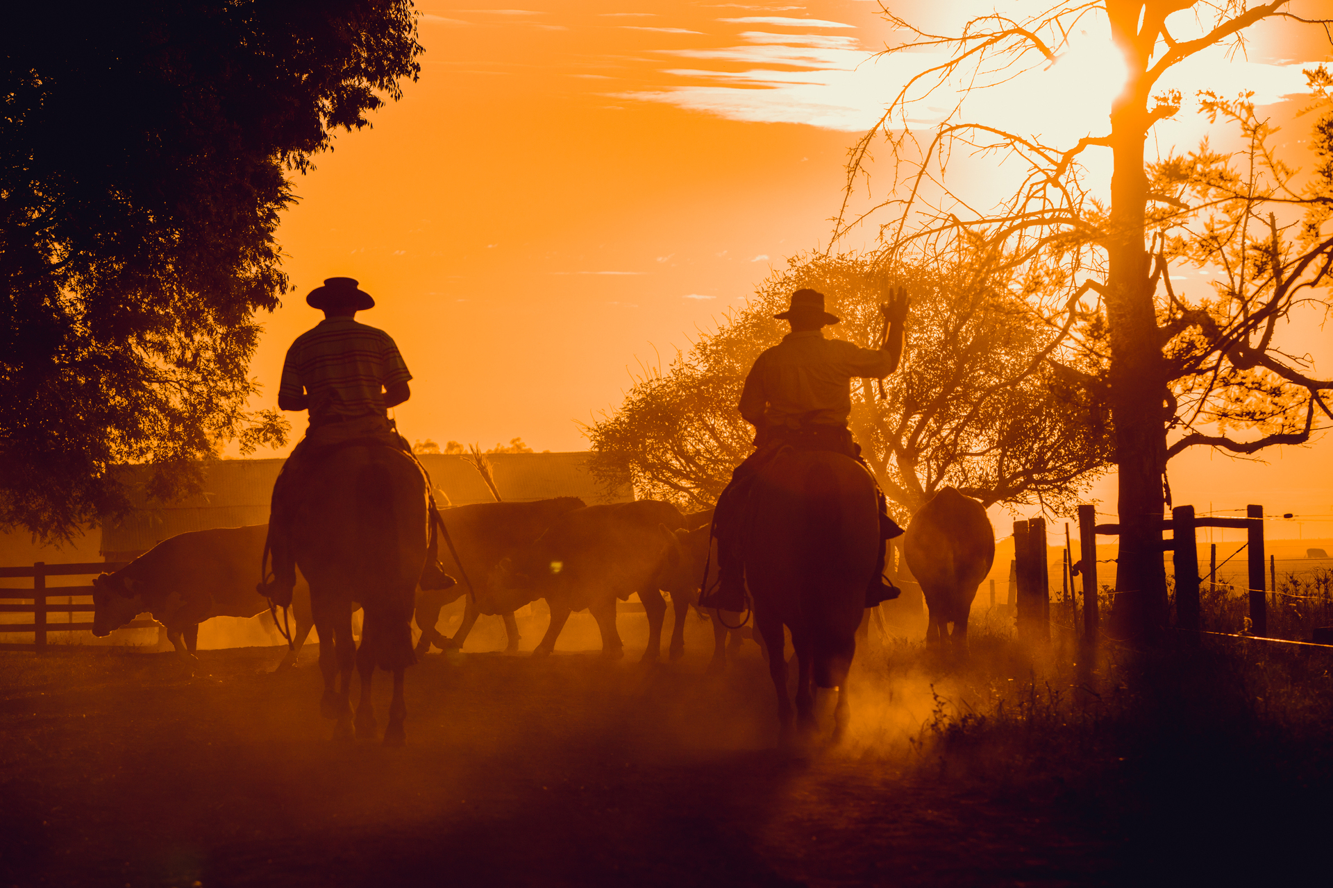 - Entre as potencialidades, a Setur vai apresentar o turismo rural aos visitantes.
