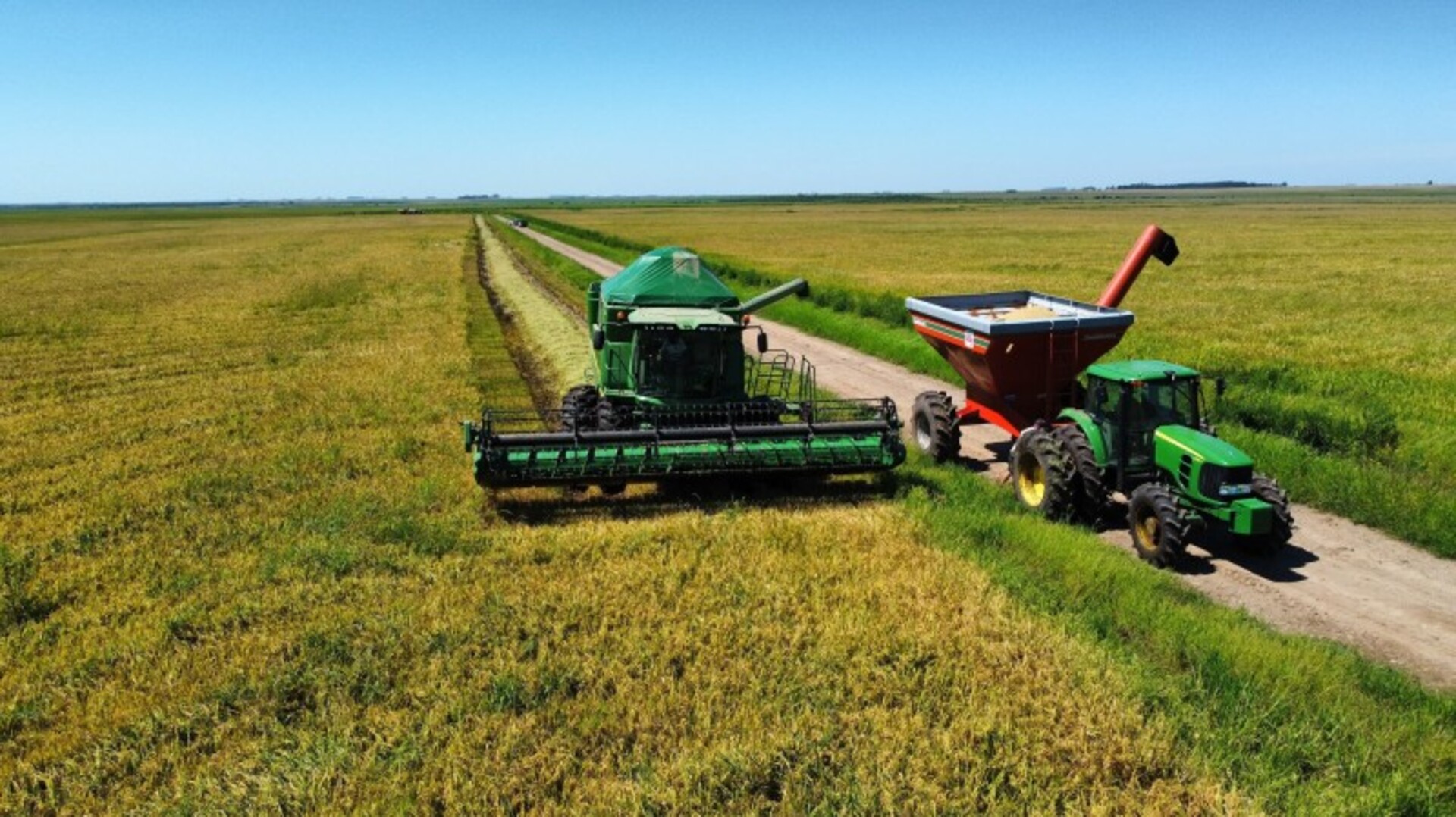 Na safra 2023/2024 foram plantados 900.203 hectares de arroz irrigado