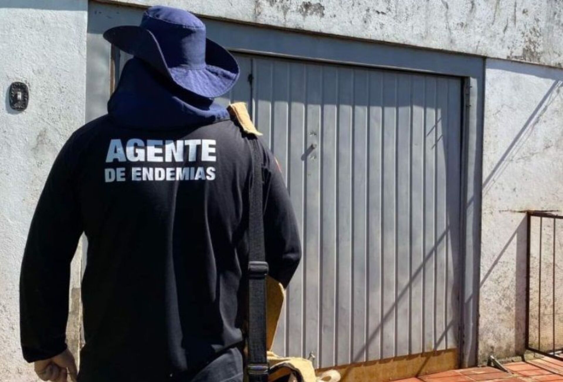 Dengue