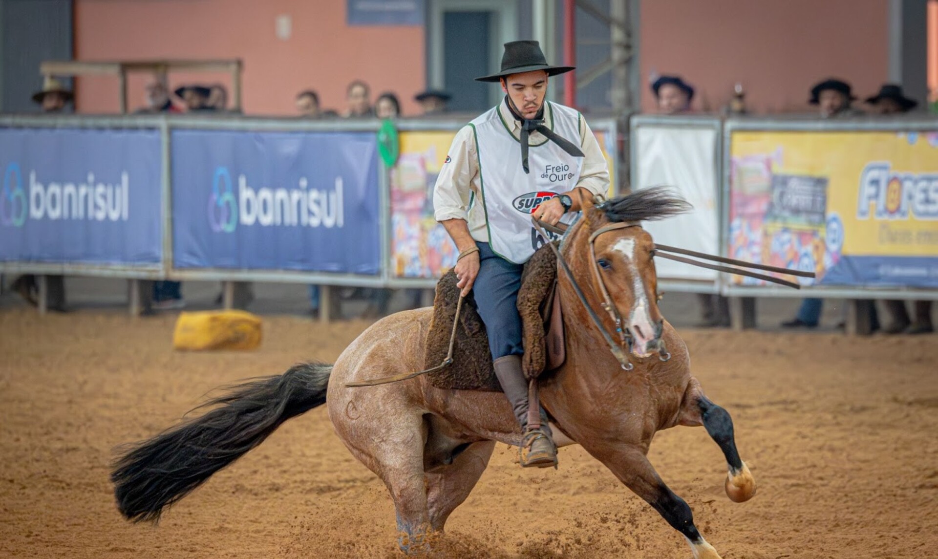 Leopardo da GAP São Pedro-TE é o campeão na categoria machos