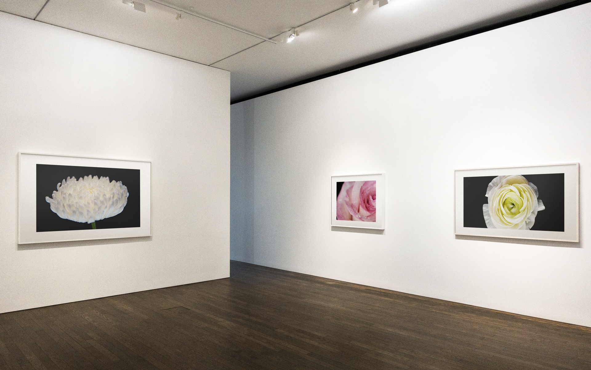 – A exposição inicia na próxima segunda-feira.