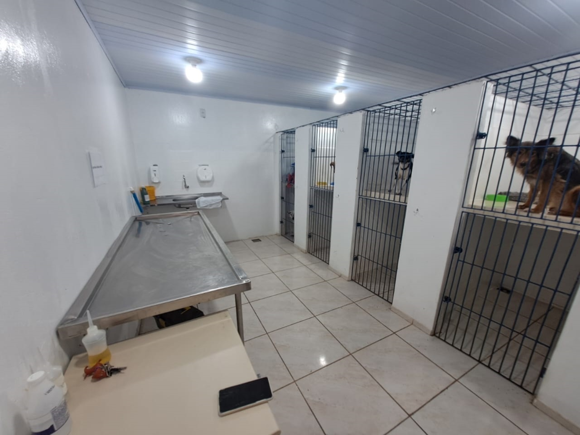O espaço tem 240m²