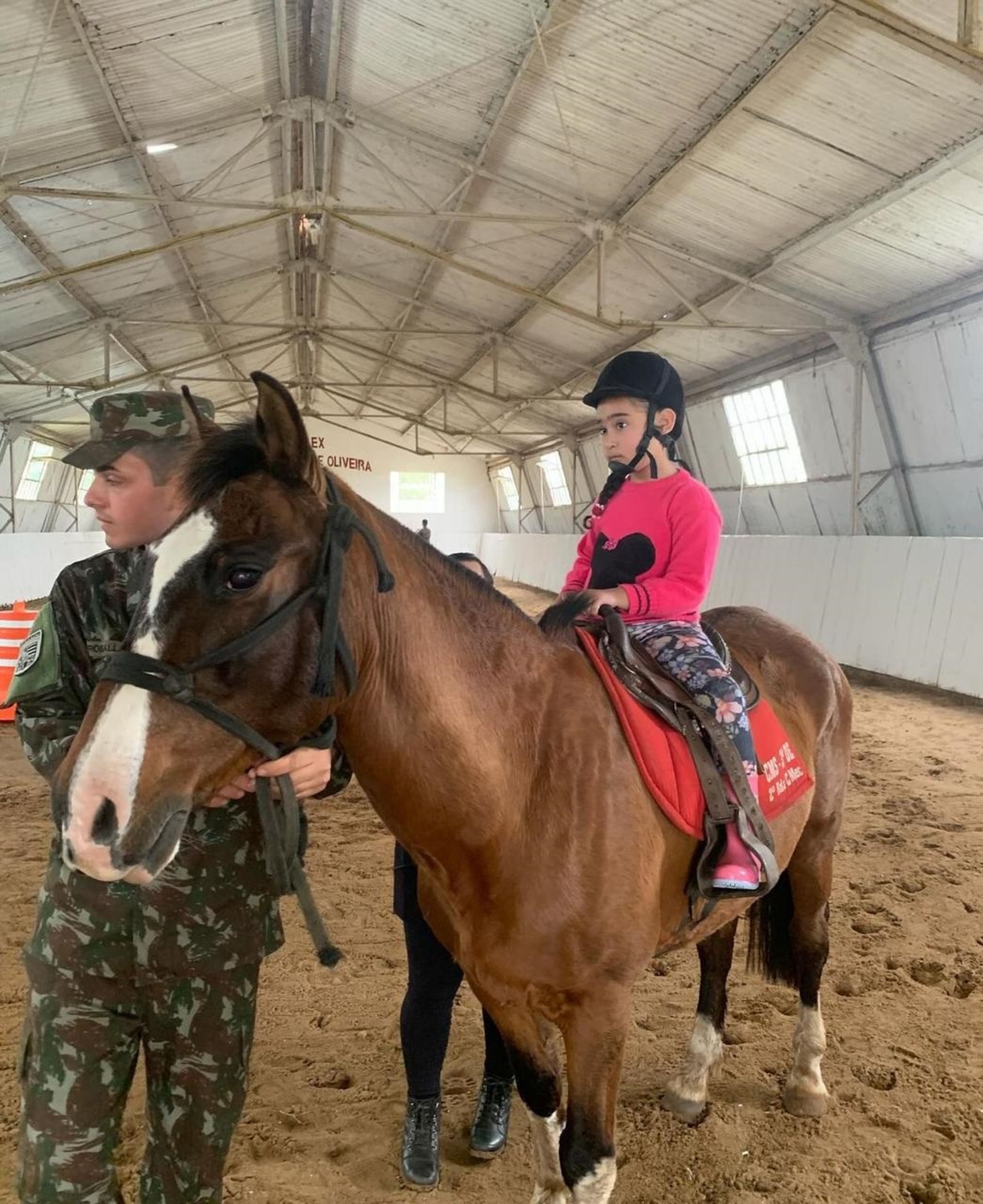 O centro dispõe de apenas oito cavalos.