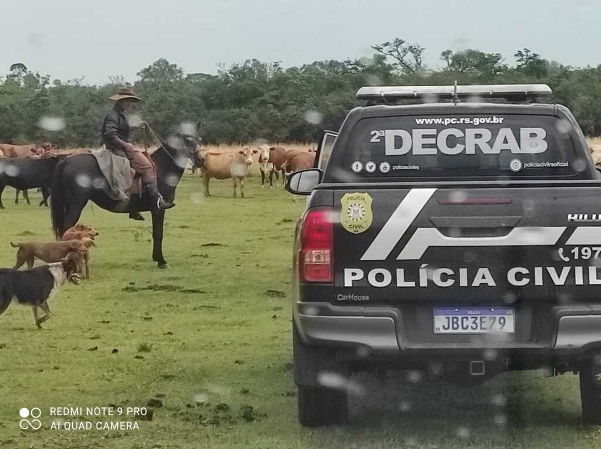 Contrariando as estatísticas estaduais, Uruguaiana teve aumento no número de abigeatos.