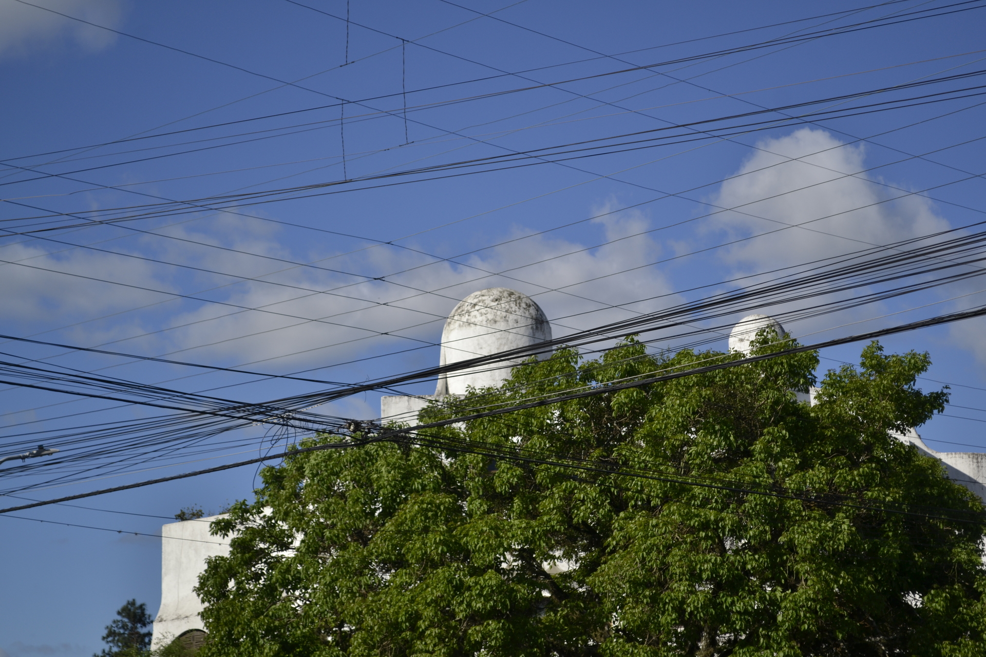 Projeto dá diretrizes sobre arborização urbana e manutenção de vegetação próxima a rede elétrica.