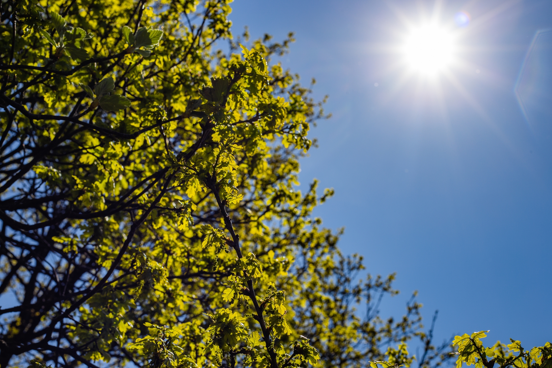 A previsão é de uma semana quente e ensolarada