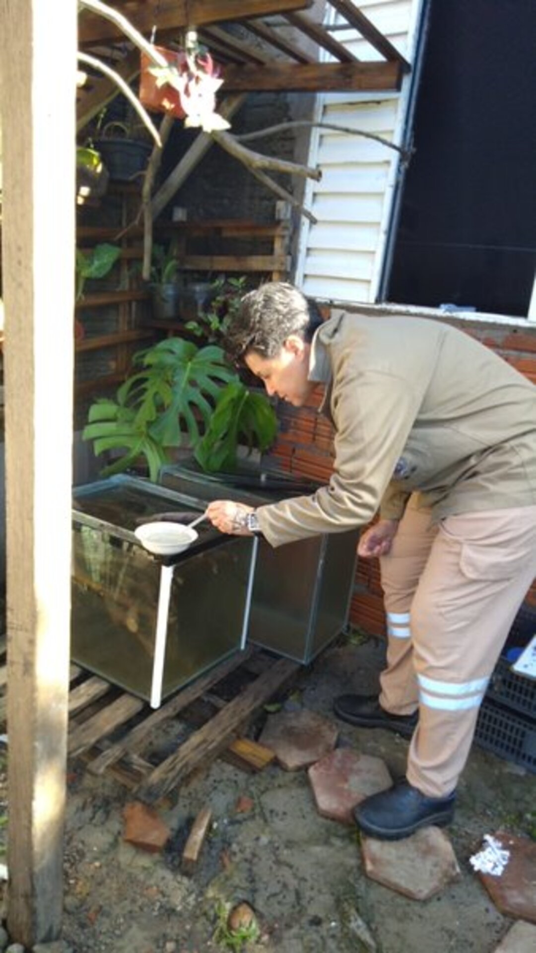 Coleta de dados coloca Uruguaiana em alerta para dengue