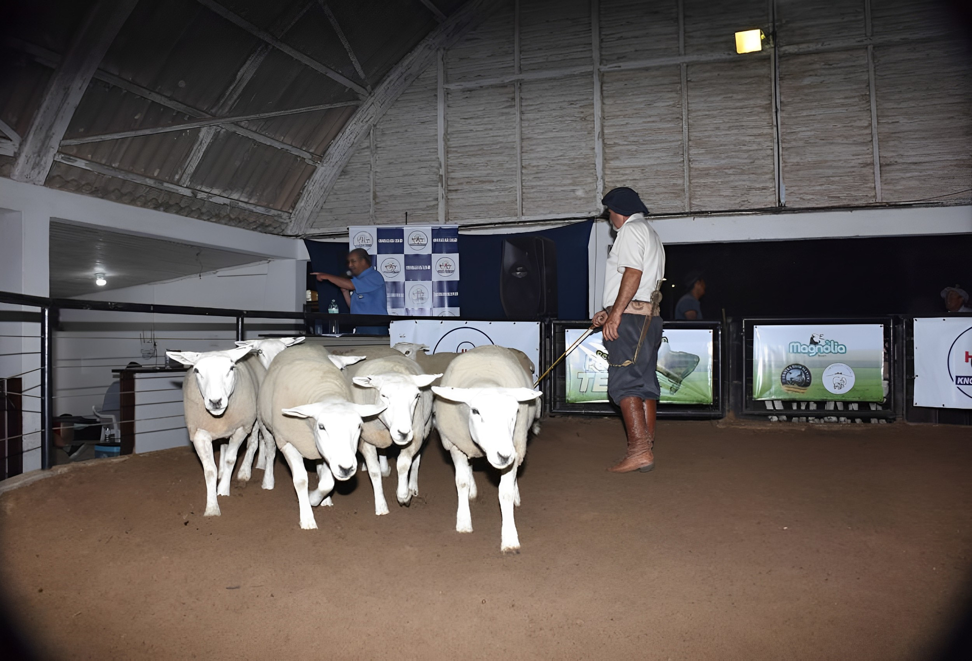 Feira se estende até sábado, no Parque da Associação e Sindicato Rural de Bagé