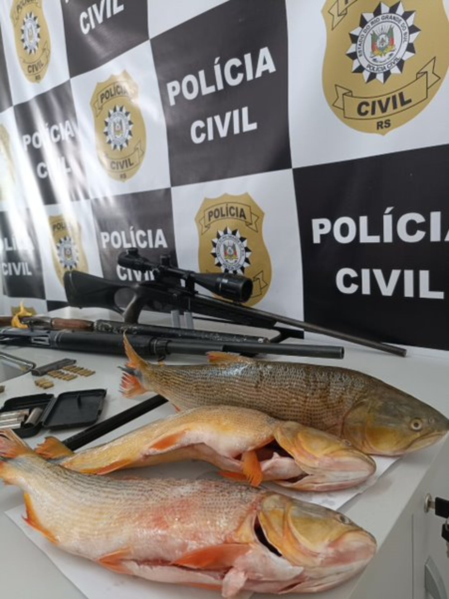 Foram encontradas três armas, além de vários peixes da espécie Dourado, cujas pesca é proibida.