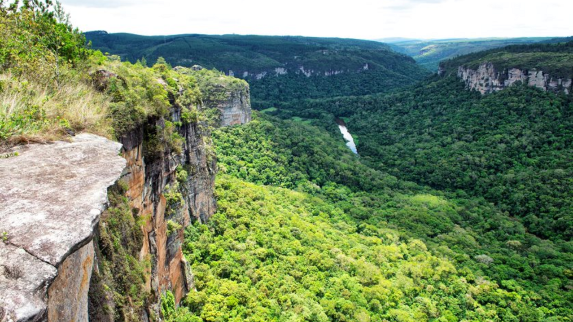 Conferência sobre desastres climáticos abre discussão para novas estratégias para o meio ambiente.