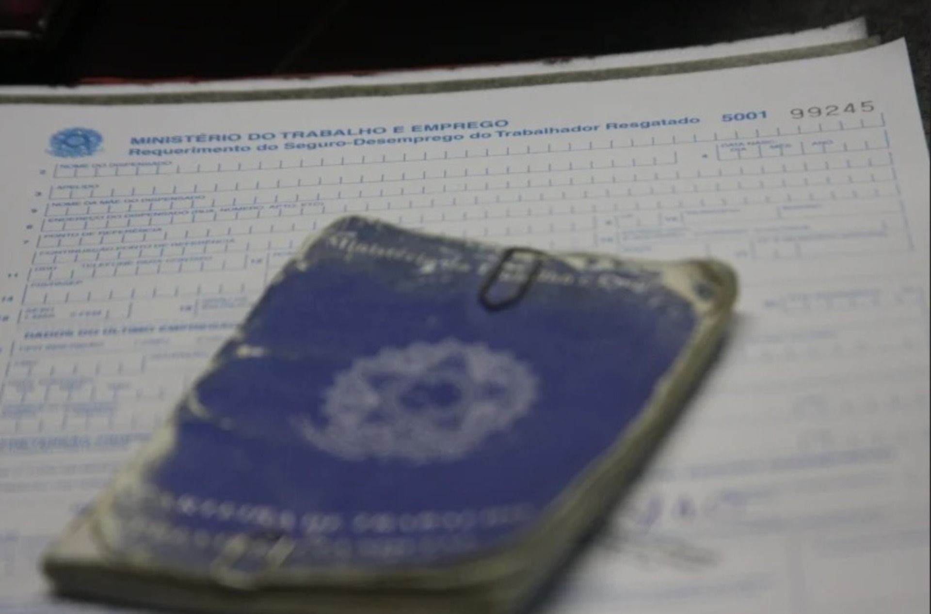 O município representou apenas 3,94% de denúncias no total.