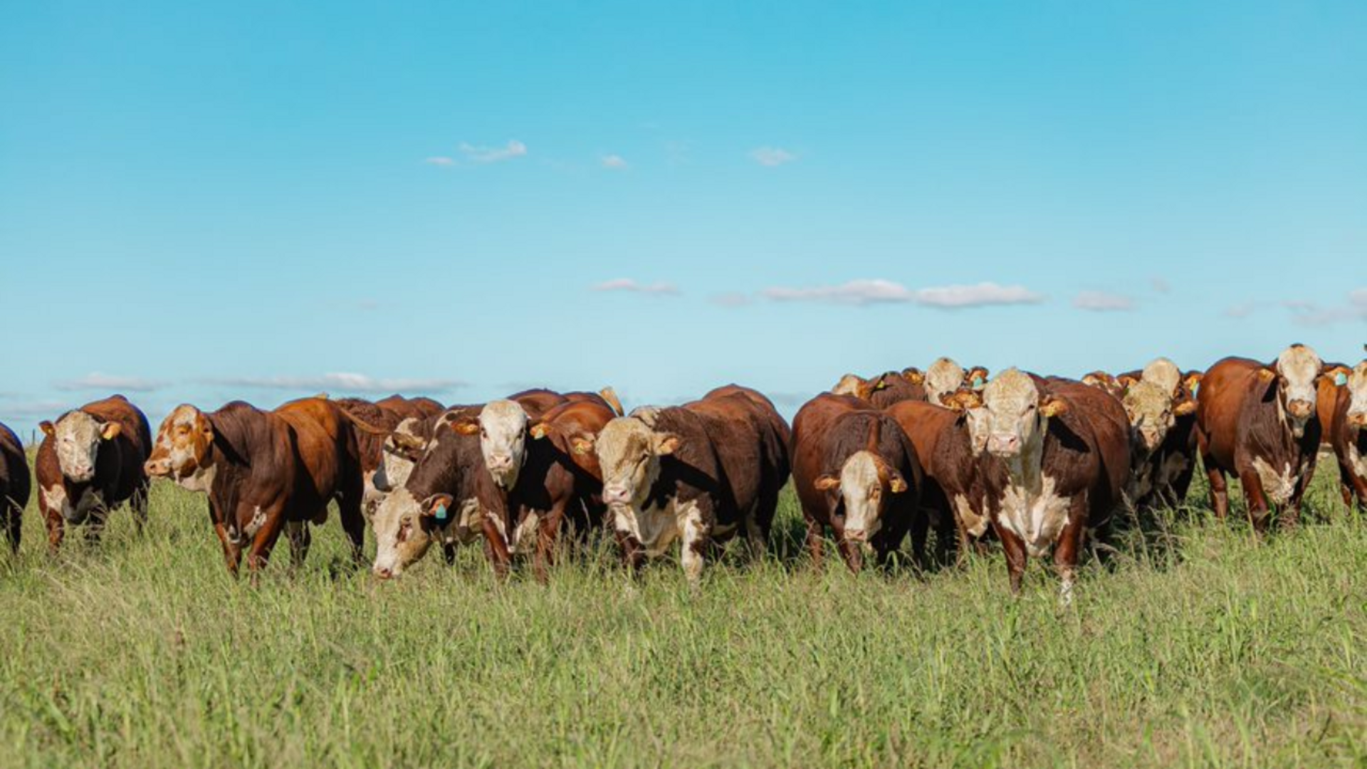 Evento passará por Uruguaiana no dia 29 de abril