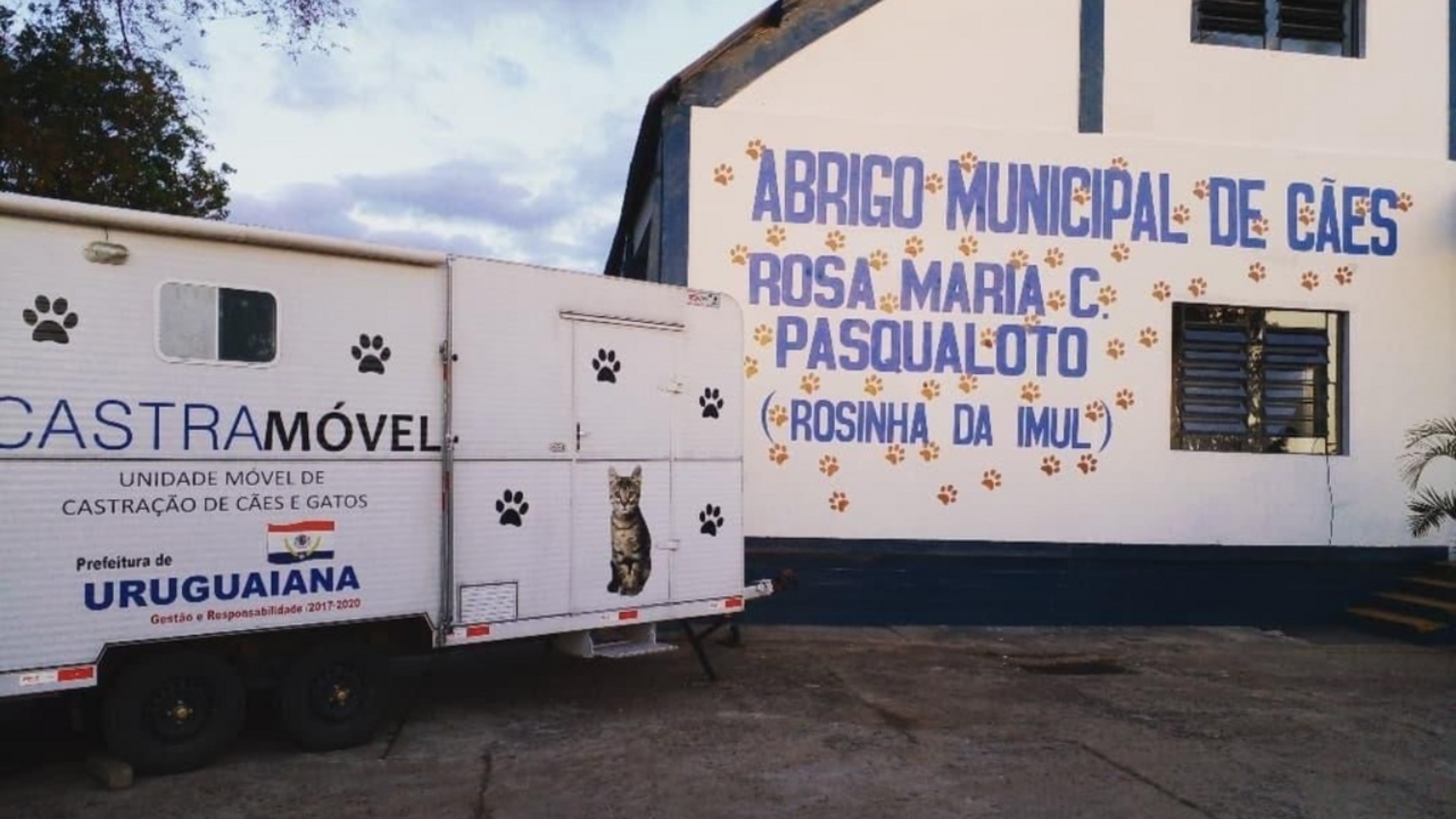 O atendimento visa apoiar animais de famílias de baixa renda.