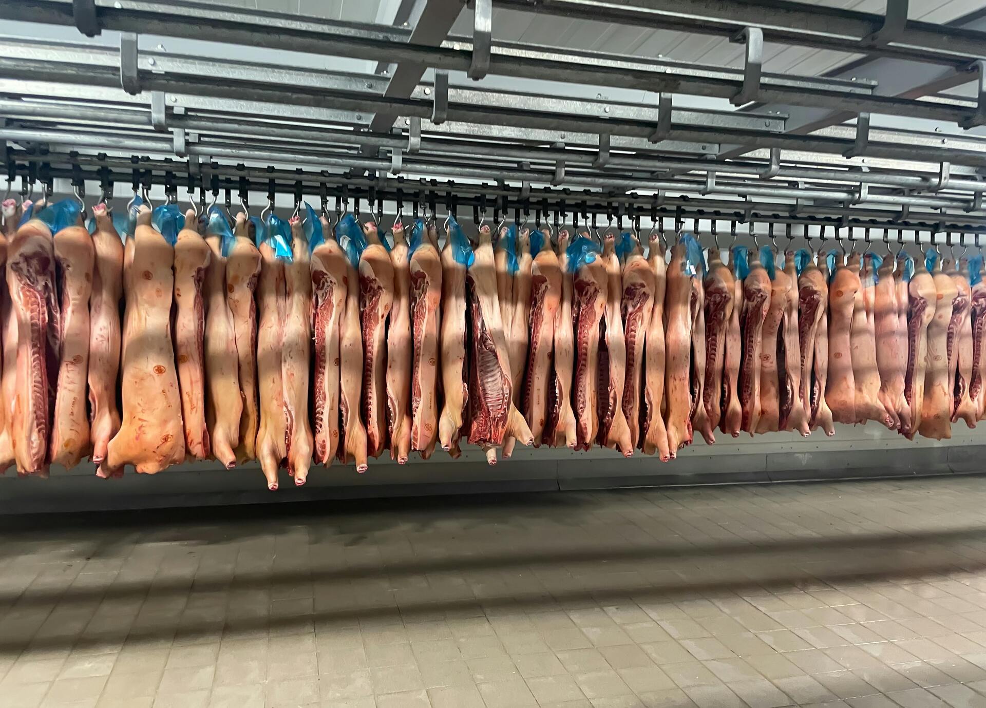 Receita das vendas atinge alta de 44,2% no mês