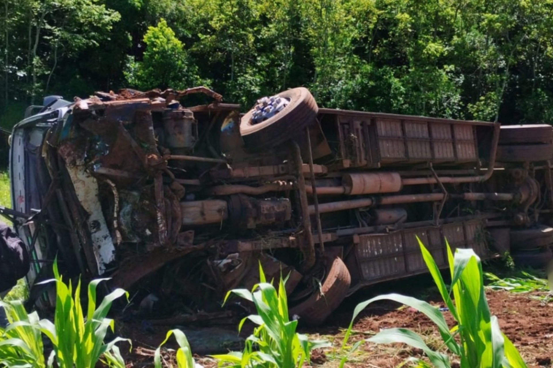 Ônibus levava alunos do curso de Paisagismo do Colégio Politécnico da UFSM