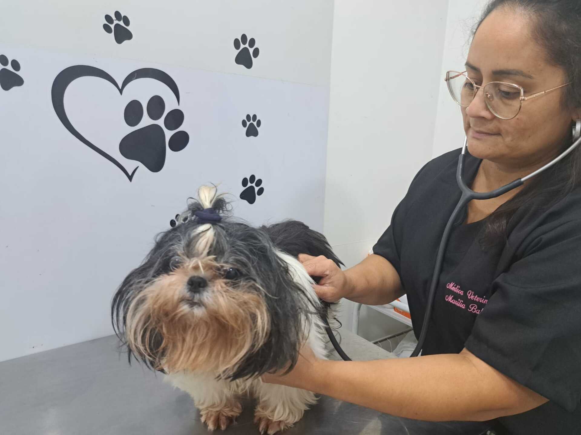 Veterinária Marília Balhego, da Clinivet, explica os cuidados que devem ser tomados