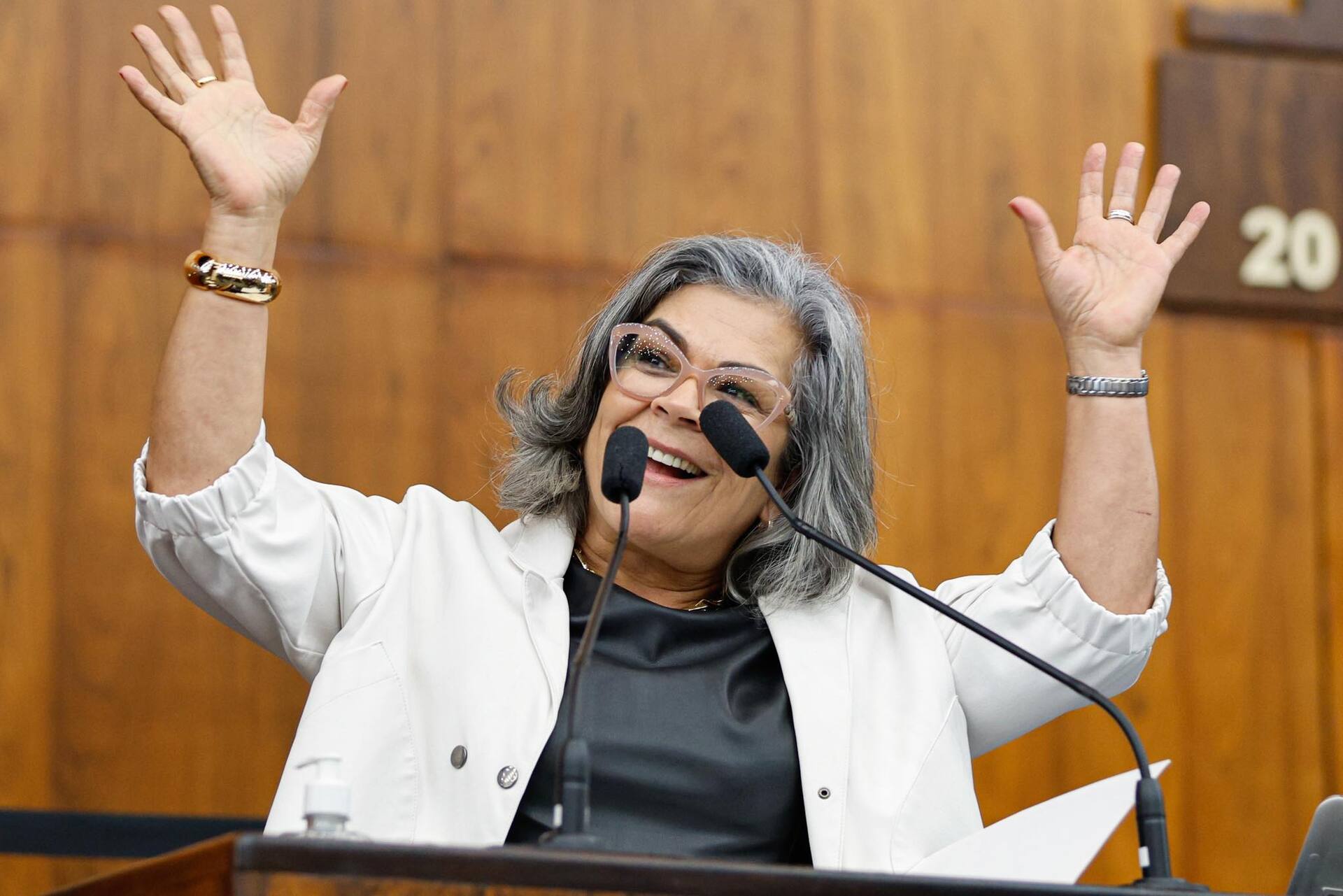 Deputada estadual Stela Farias fará palestra sobre fortalecimento da rede de proteção às mulheres.