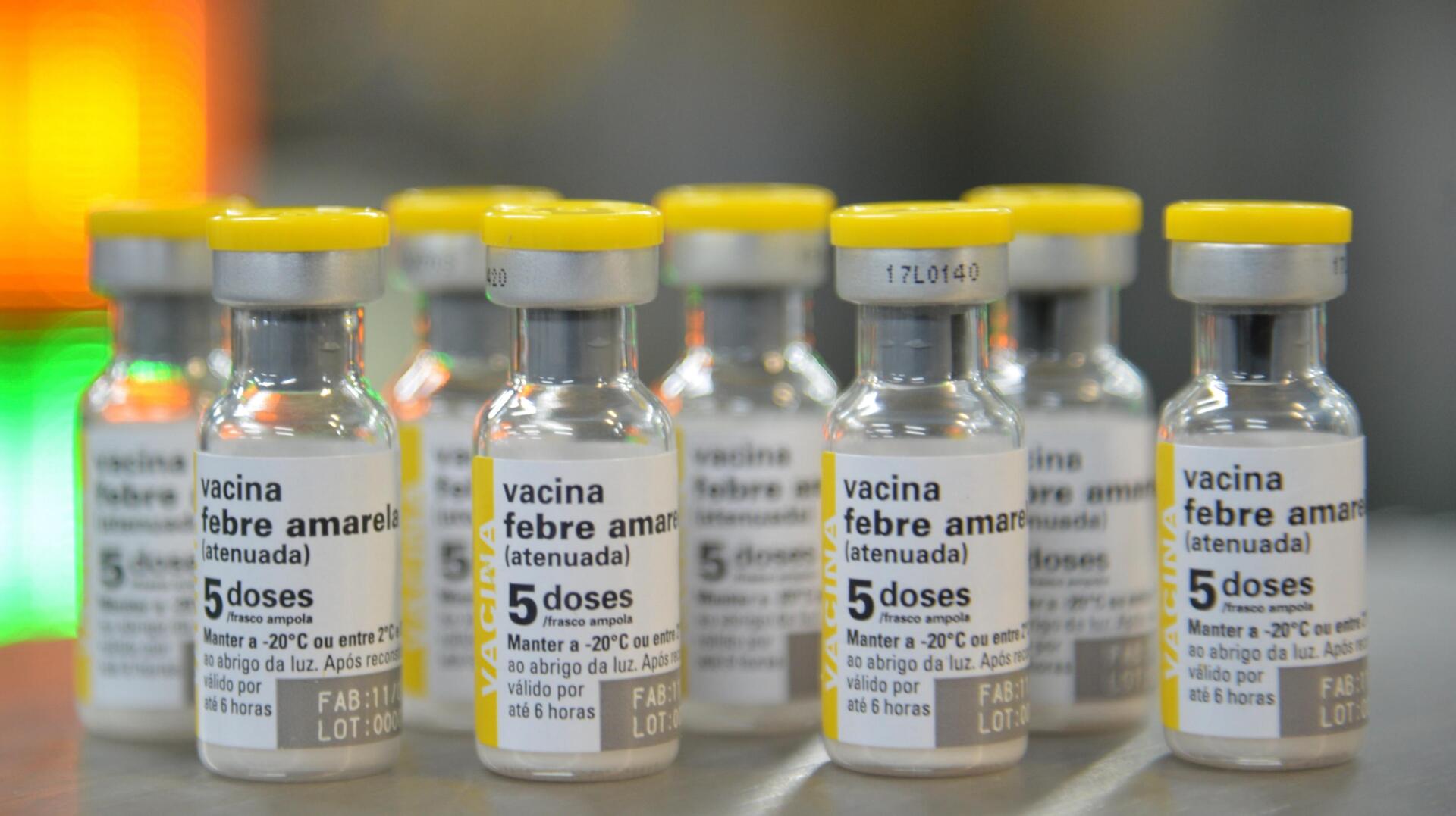 Imunização é a principal forma de prevenção contra febre amarela