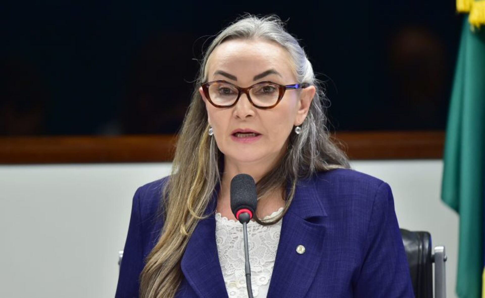 O texto aprovado é uma versão alternativa apresentada pela relatora, deputada Daniela Reinehr (PL-SC), ao Projeto de Lei 3981/24, da deputada Lêda Borges (PSDB-GO).
