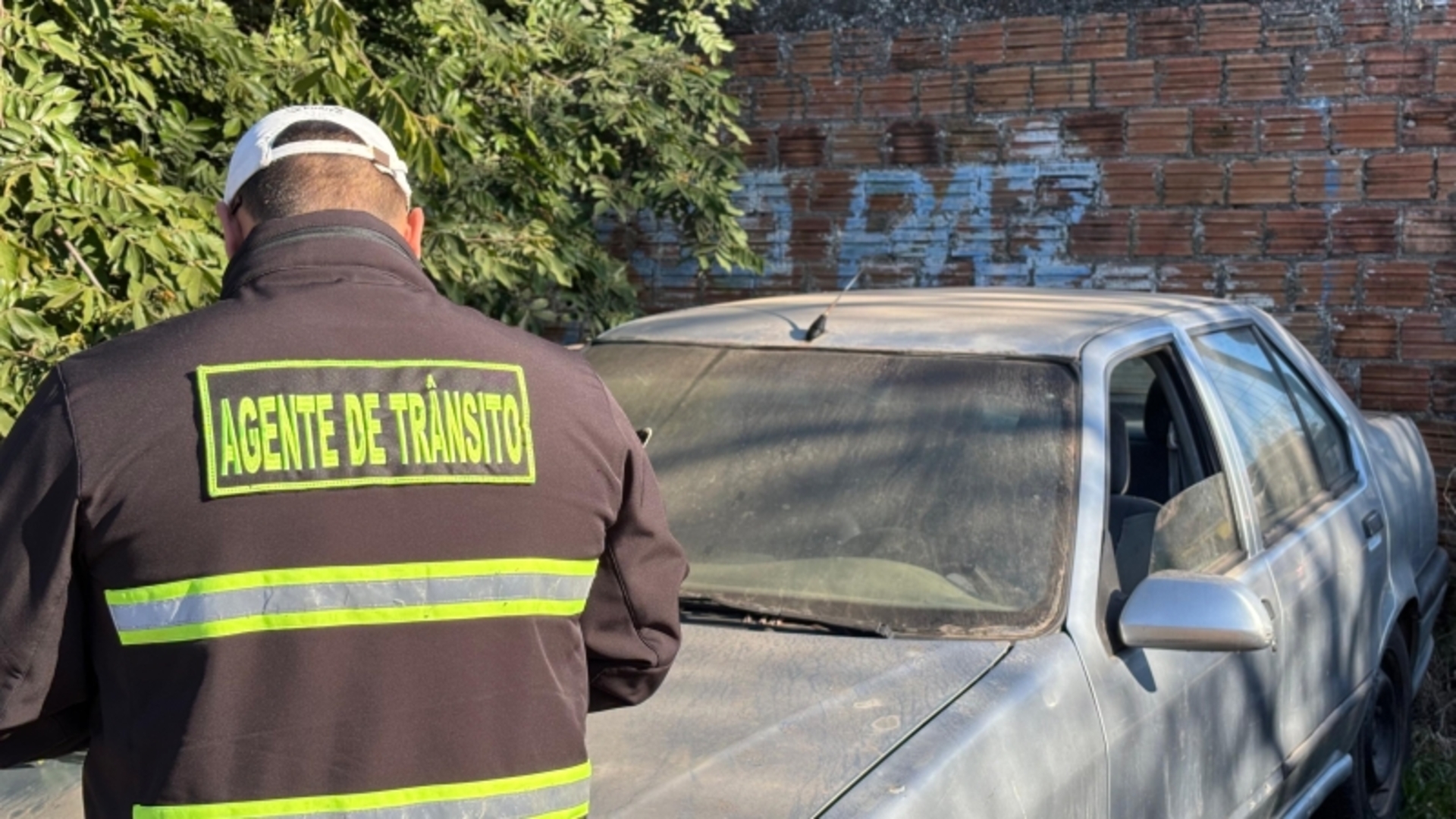 Doze veículos foram regularizados por seus donos nesta fase.