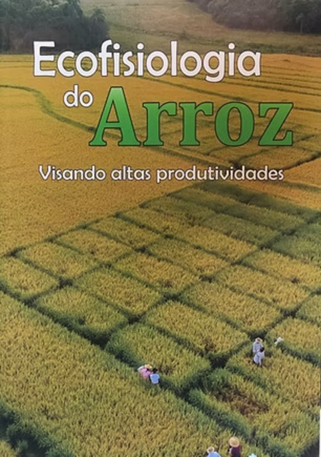 Coordenado pela equipe Field Crops da UFSM, o projeto é fruto de uma colaboração entre produtores, instituições acadêmicas e empresas privadas, com o objetivo de gerar informações confiáveis e transparentes para otimizar a produção de arroz. Produtores com eficiência acima de 70% receberam o selo Safe Rice, reconhecendo boas práticas agrícolas e responsabilidade ambiental.
