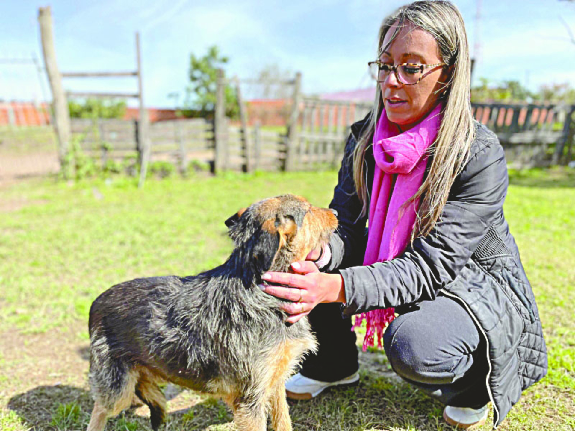 Visitas acompanham cães adotados, garantindo cuidados e orientação aos tutores.