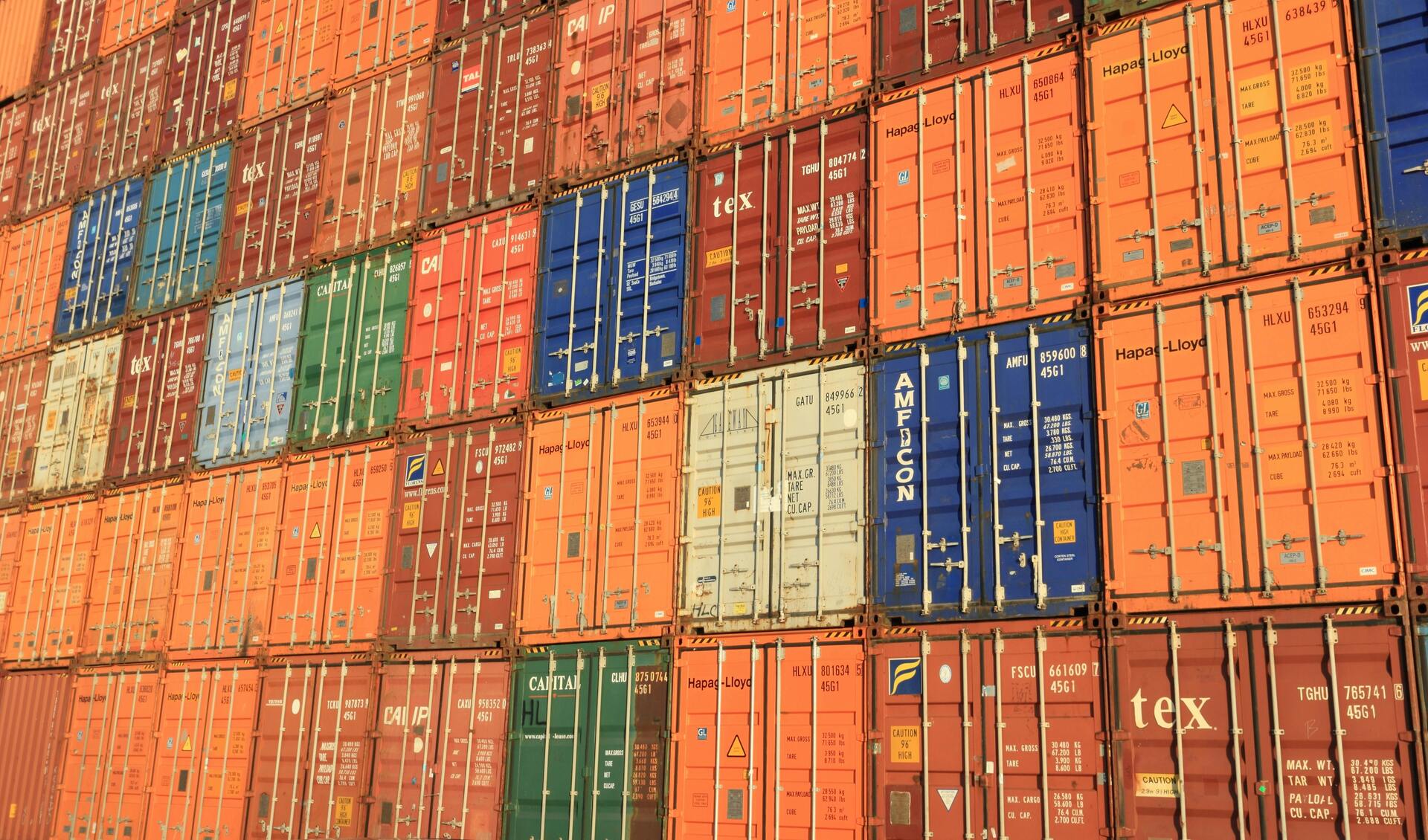 Apesar da significativa queda de 29,3% nos embarques de soja em grão, o setor agrícola manteve sua relevância graças à diversificação da pauta exportadora