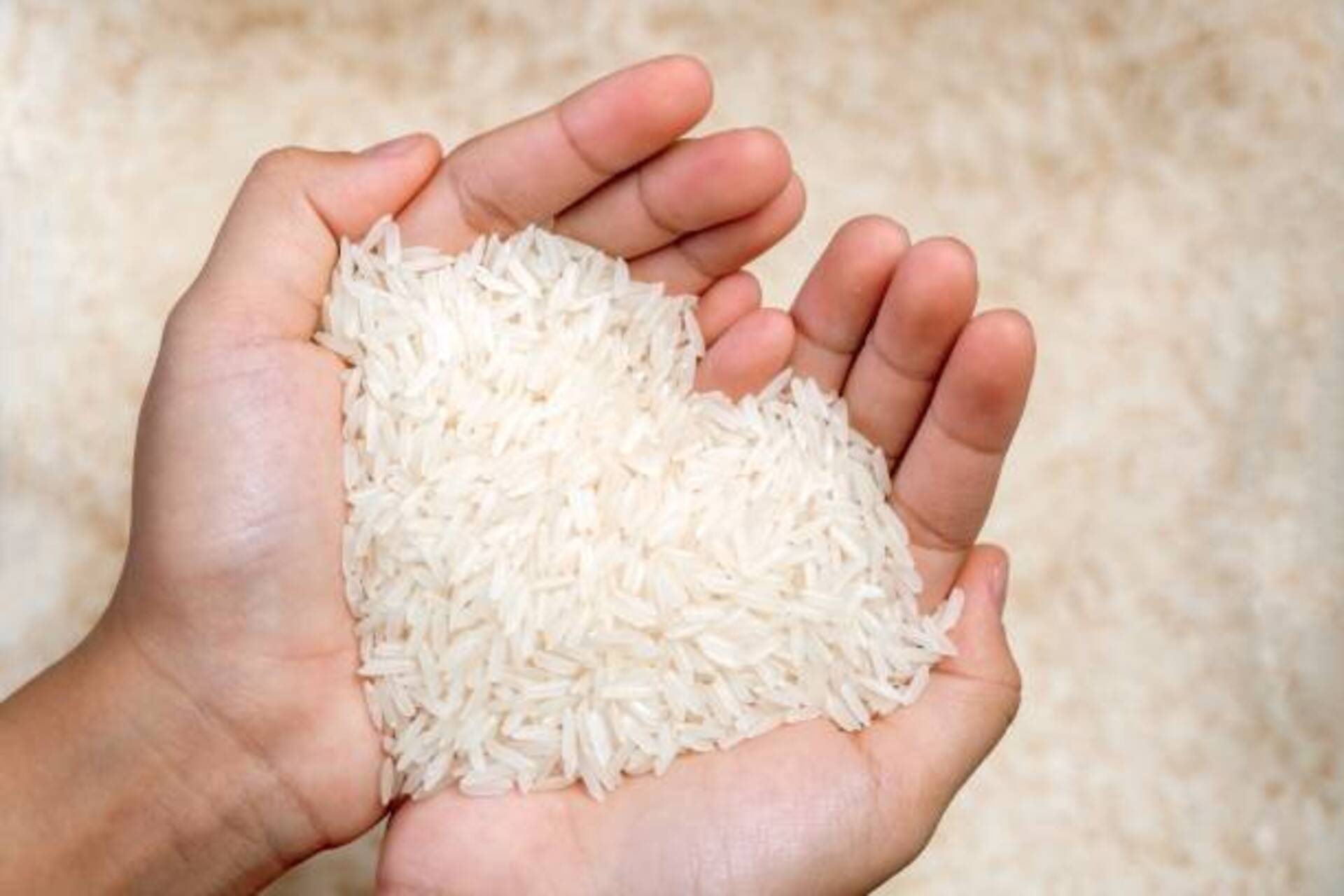 Poderão participar dos leilões produtores do Rio Grande do Sul e de Santa Catarina