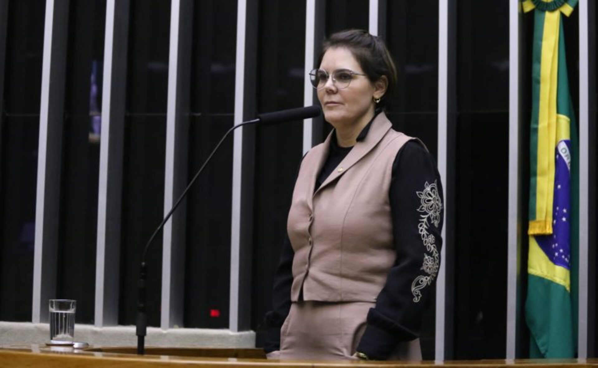 Coronel Fernanda, relatora do projeto