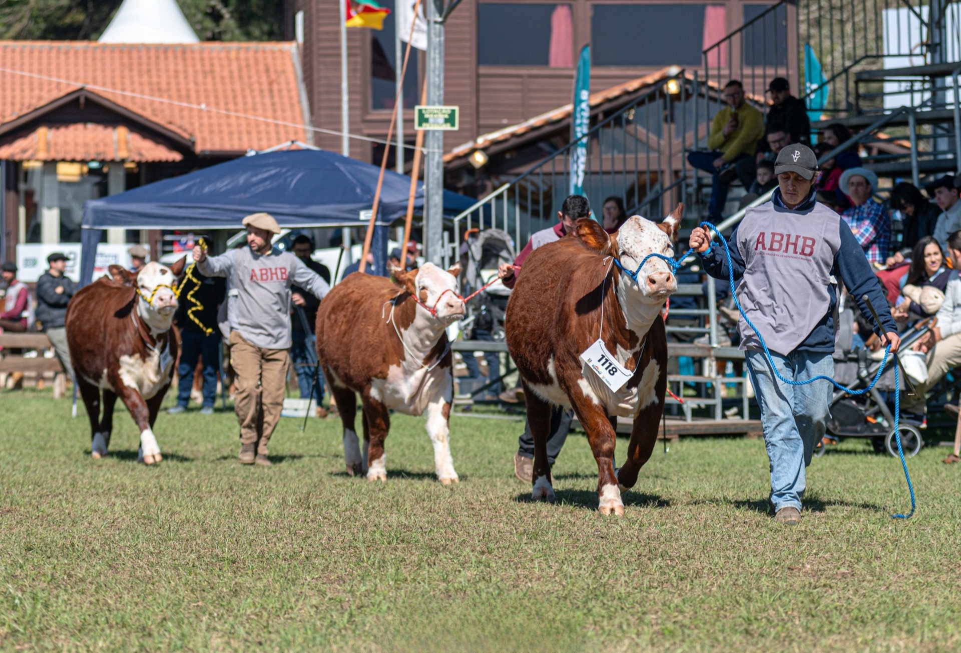 Programação Hereford e Braford na Expointer será intensa