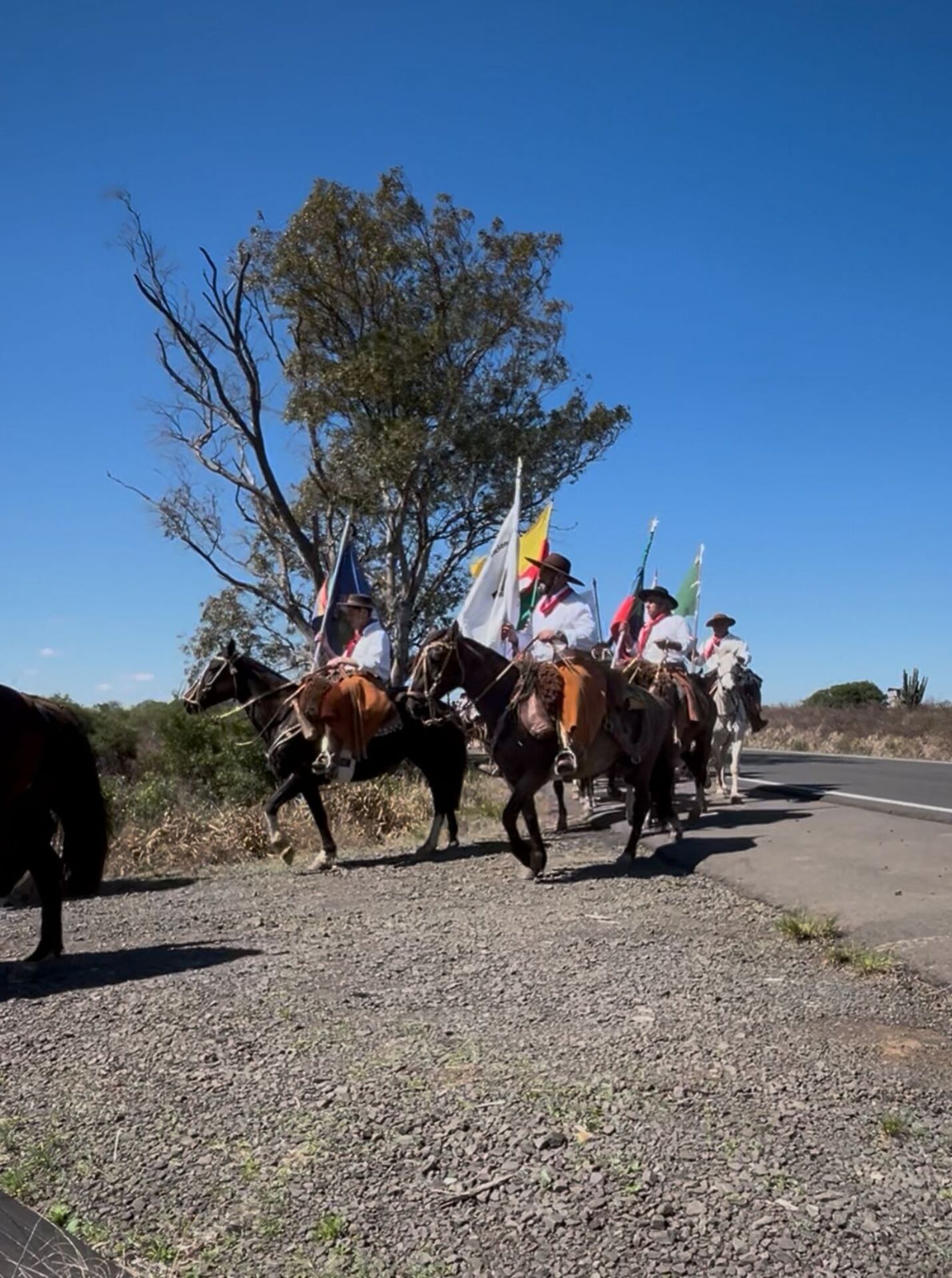 A Chama Crioula foi gerada em Caxias do Sul