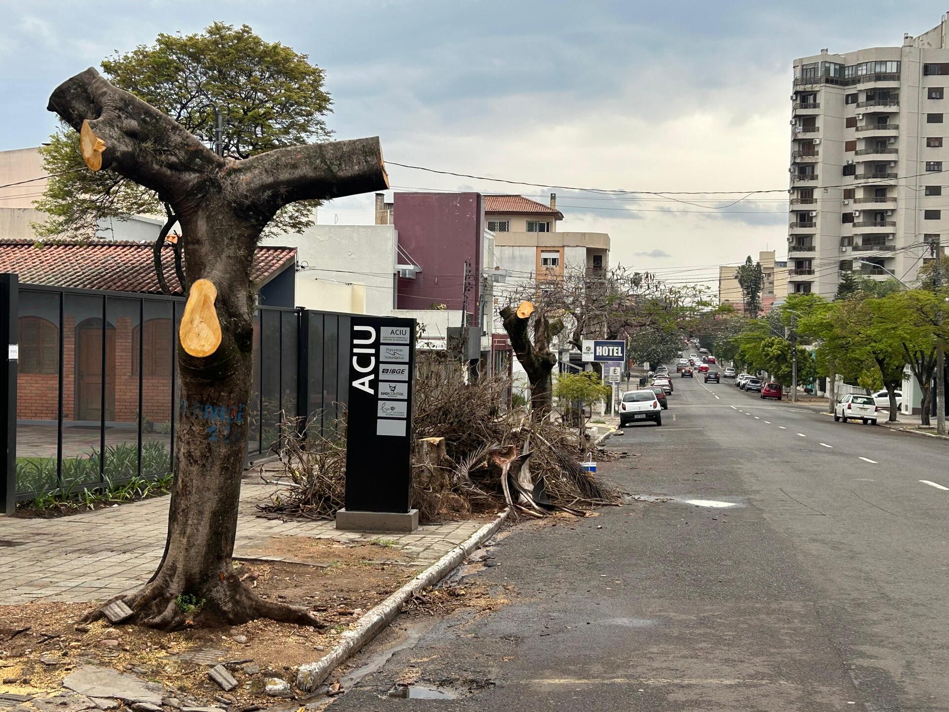 A reposição das árvores será obrigatória, com espécies mais leves e adequadas ao local, sob orientação da Secretaria de Meio Ambiente. A legislação municipal prevê multas e obrigações de plantio em caso de descumprimento. Moradores devem acionar o órgão em situações de risco semelhantes.