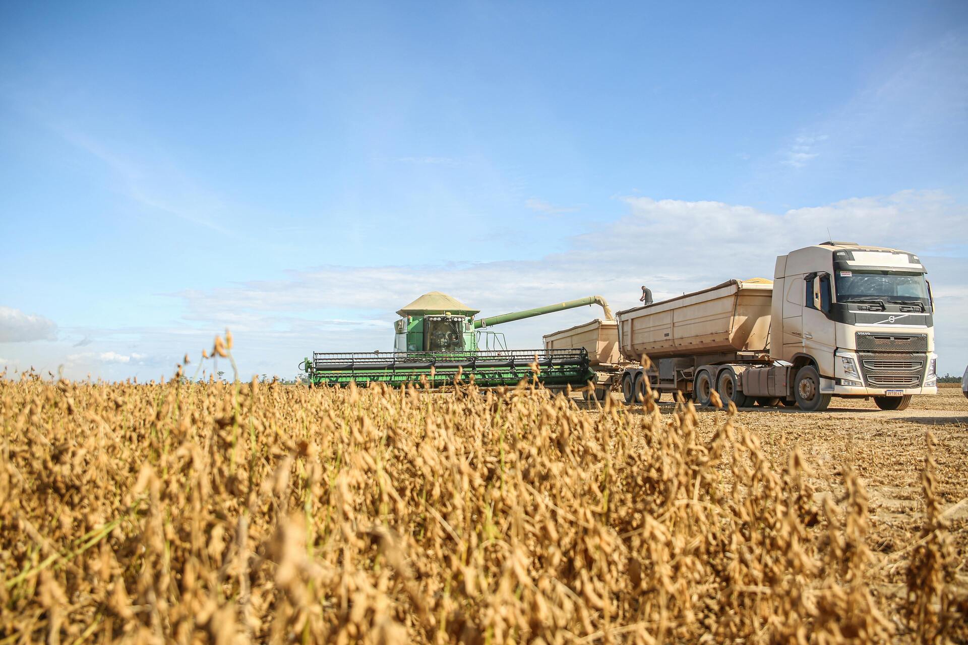 O produtor rural que não entregar a declaração no prazo está sujeito a multa
