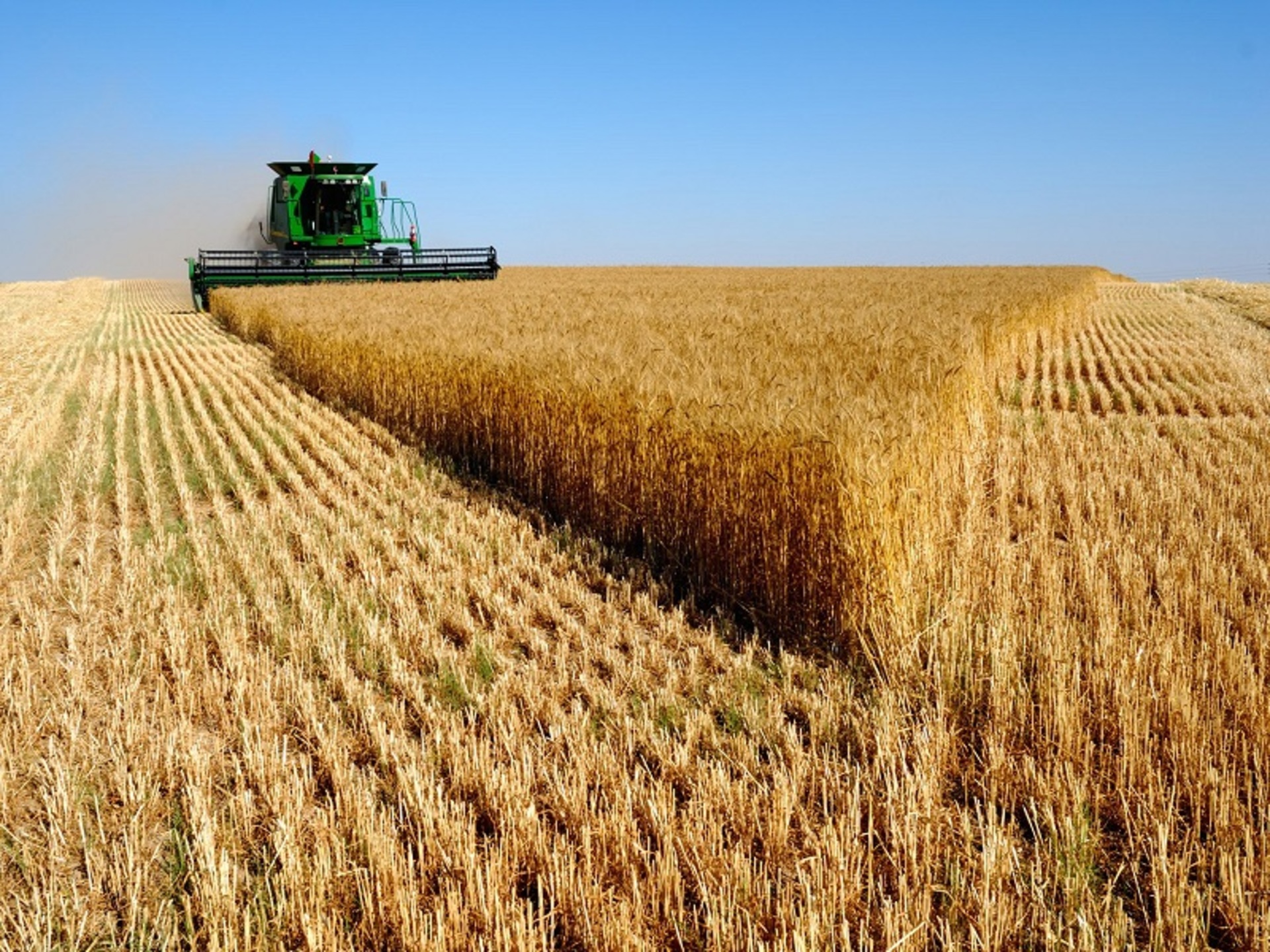 RS enfrenta desafios climáticos, mas observa crescimento nas produções de arroz, milho e canola na safra 2024/25.