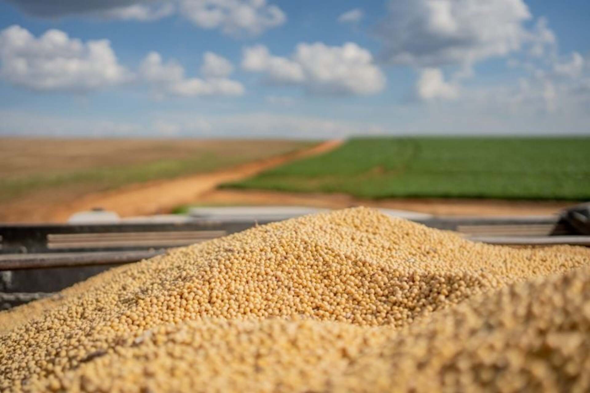 A China é o principal destino, absorvendo cerca de 80% das exportações, impulsionando o crescimento junto à safra recorde de 170 milhões de toneladas.