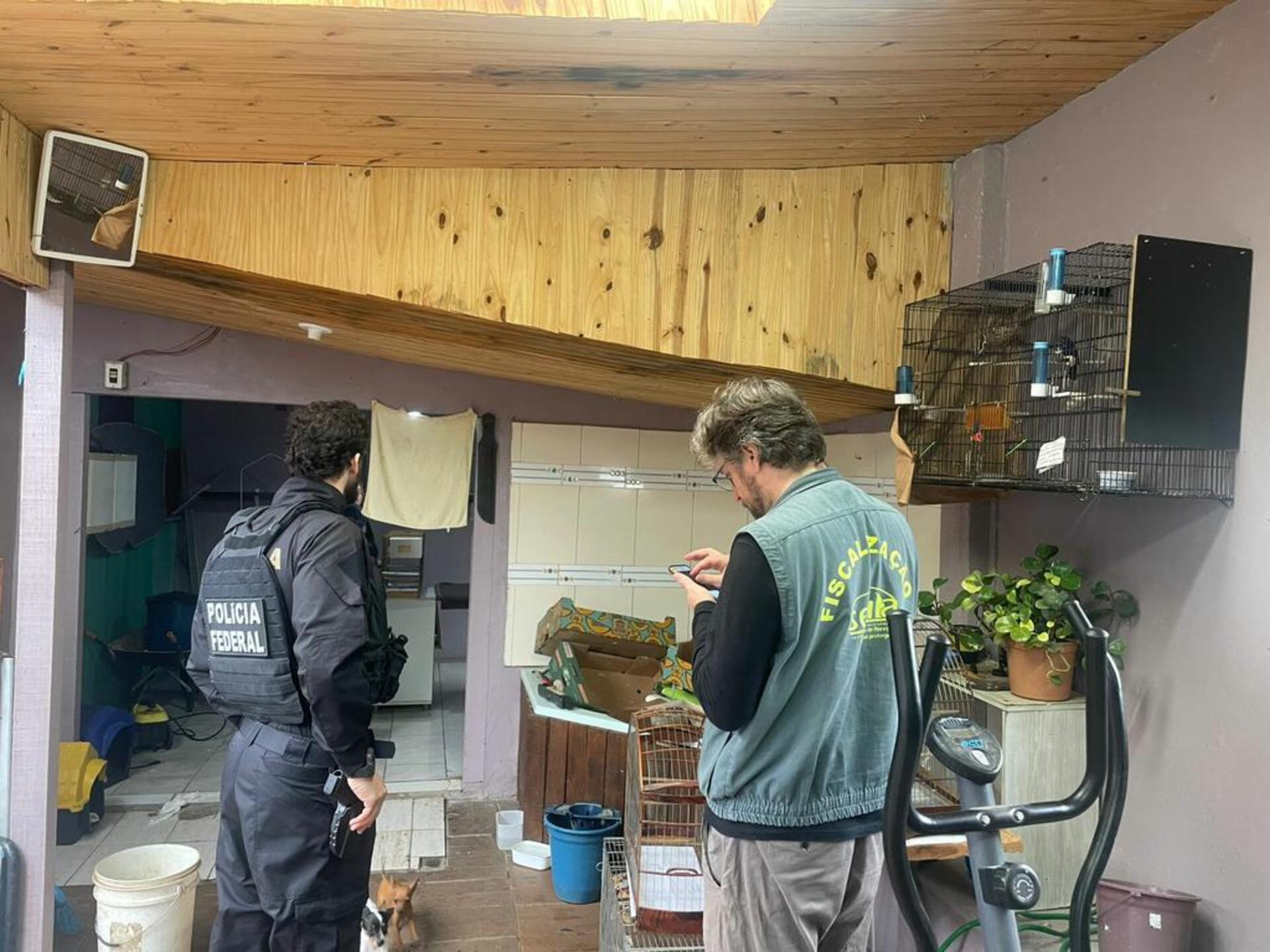 Os investigados podem responder por falsificação de anilhas e crimes ambientais previstos na Lei 9.605/98. As aves foram encaminhadas ao Cetas do Ibama para reabilitação e devolução ao habitat natural. A operação integra esforços contínuos no combate ao tráfico de fauna.