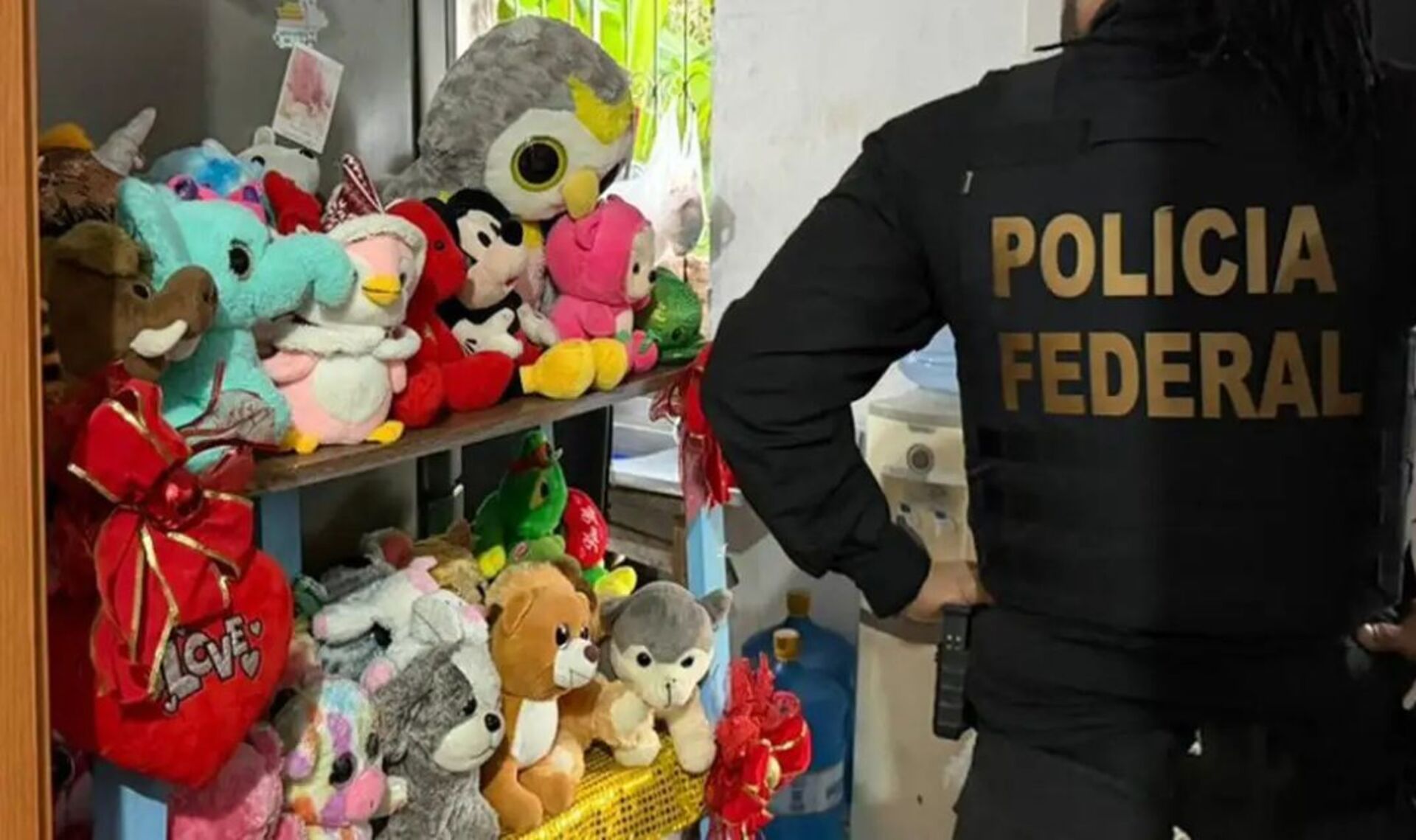 Ação conjunta entre PF e polícias civis visa combater crimes de abuso sexual infantil na internet.