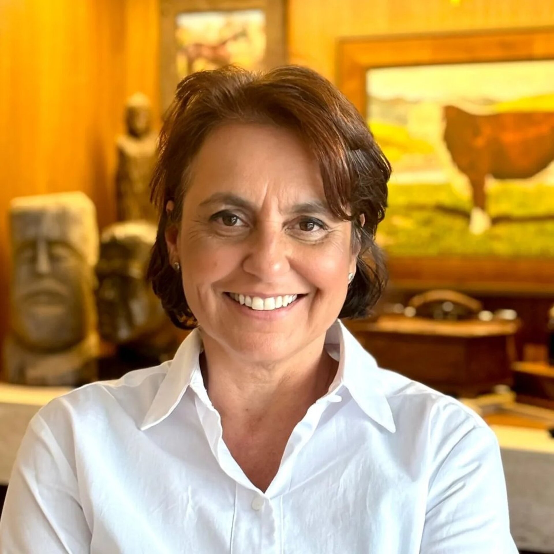 O projeto é de autoria da vereadora Stella Luzardo (União Brasil)