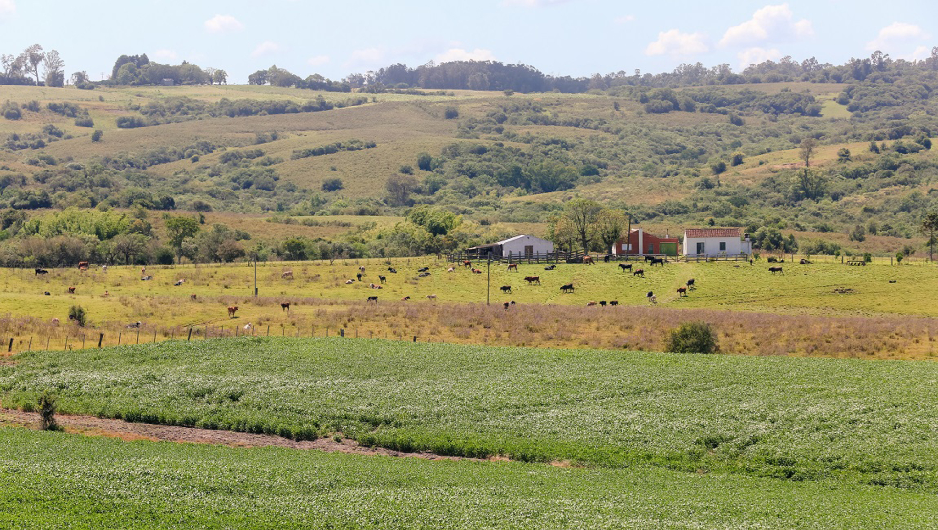 Cidadãos, pesquisadores e representantes do setor produtivo podem contribuir até o dia 23