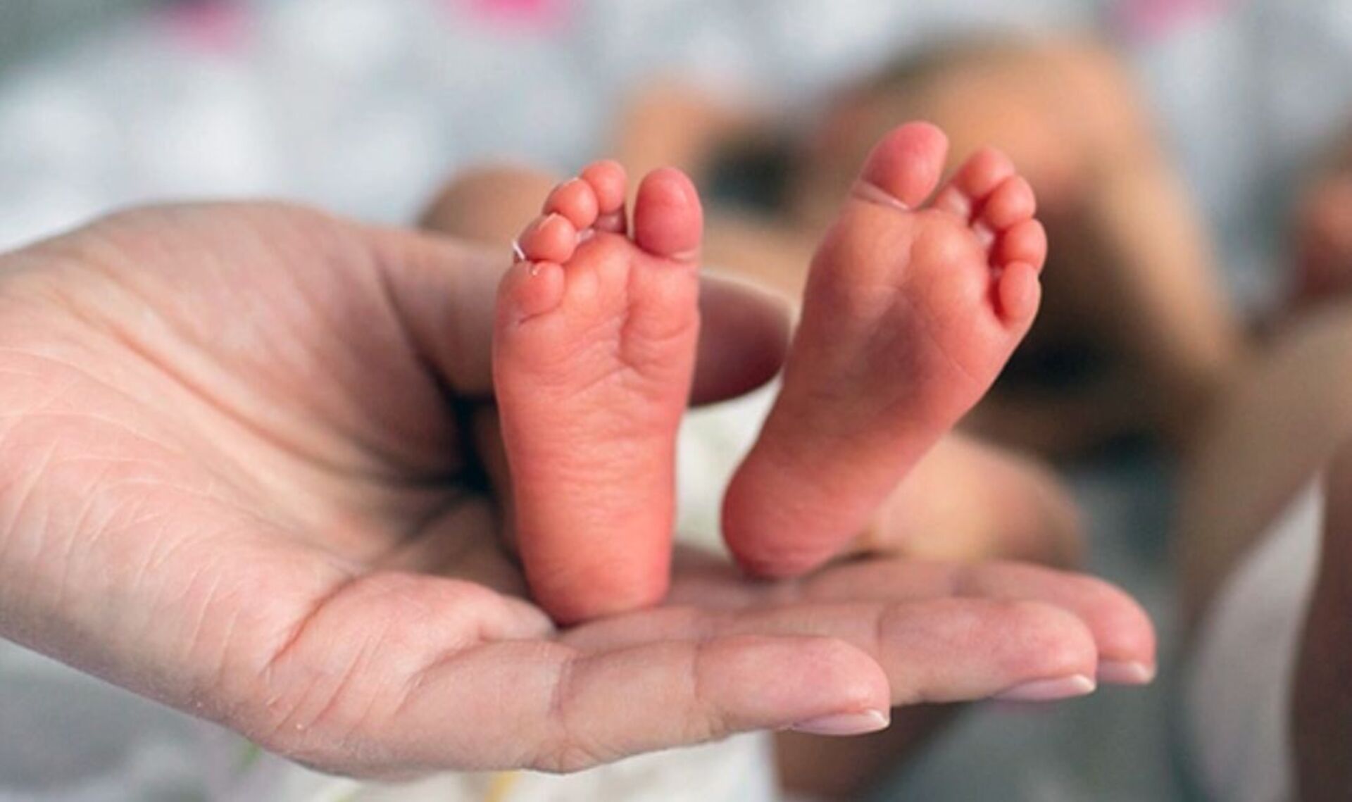Profissionais e estudantes participam do simpósio e das atividades práticas, promovendo atualização e conscientização na neonatologia